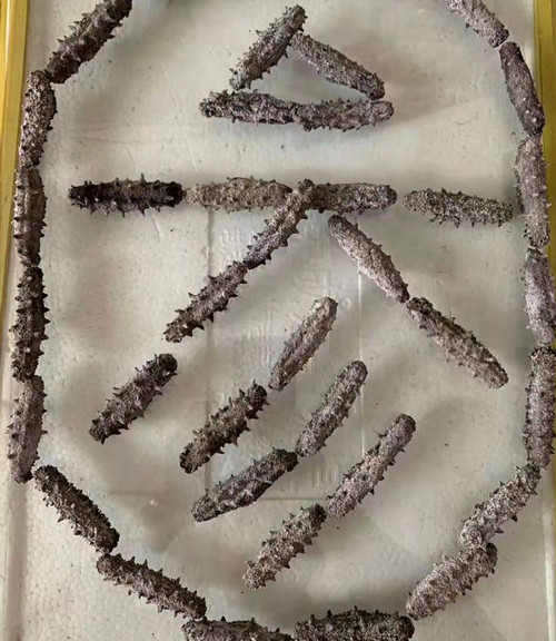 長島野生海參品質到底怎么樣